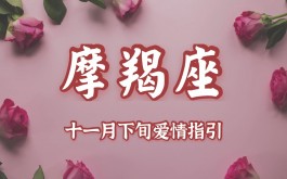 11月出生的摩羯(11月份的摩羯怎么样)