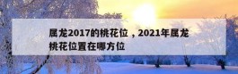 属龙2017的桃花位 , 2021年属龙桃花位置在哪方位