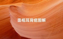 耳后和耳背长痣的区别(耳后和耳背长痣的区别是什么)