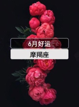 摩羯座2017年6月29(摩羯座2021年6月24)