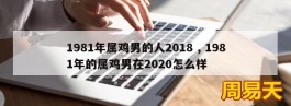 1981年属鸡男的人2018 , 1981年的属鸡男在2020怎么样