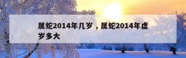 属蛇2014年几岁 , 属蛇2014年虚岁多大