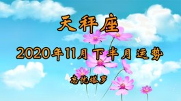 天秤座2014年11月运势(天秤座2020年11月运势完整版)