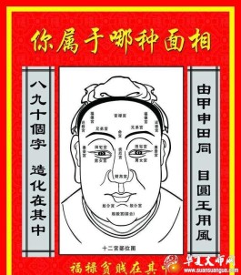 当官的面相分析(当官的面相分析图)