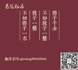 玄易大师起名(玄易大师起名大全)