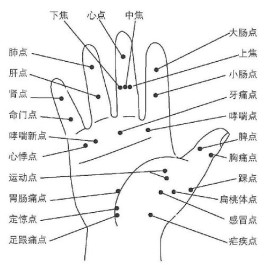 手掌和哪个部位对应(手掌和哪个部位对应图解)