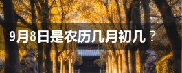 丨1990年9月8日农历几号(1990年9月8日农历是什么星座)