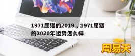 1971属猪的2019 , 1971属猪的2020年运势怎么样