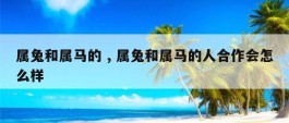 属兔和属马的 , 属兔和属马的人合作会怎么样