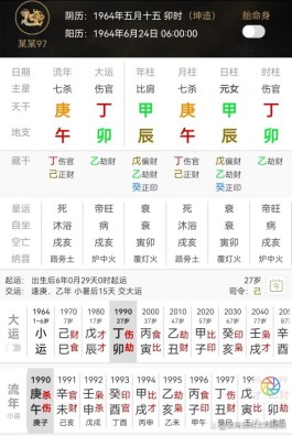 时柱伤官驾七杀(时柱是伤官坐七杀)