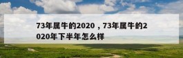 73年属牛的2020 , 73年属牛的2020年下半年怎么样