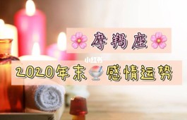 摩羯座2019年感情运势怎么样(摩羯座2019年感情运势怎么样呀)