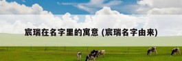 宸瑞在名字里的寓意 (宸瑞名字由来)