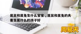 属鼠和属兔生什么宝宝 , 属鼠和属兔的夫妻生属什么的孩子好