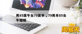 男85属牛女79属羊 , 79男羊85女牛婚姻