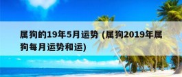 属狗的19年5月运势 (属狗2019年属狗每月运势和运)