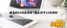 属兔的12号出生好 (兔人生于12月命好吗)