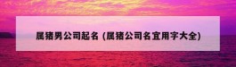 属猪男公司起名 (属猪公司名宜用字大全)