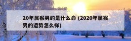 20年属猴男的是什么命 (2020年属猴男的运势怎么样)