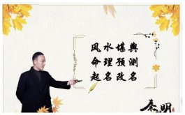 北京算命大师秦阳明(北京算命大师秦阳明简历)