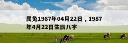 属兔1987年04月22日 , 1987年4月22日生辰八字