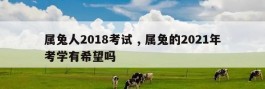 属兔人2018考试 , 属兔的2021年考学有希望吗