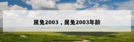 属兔2003 , 属兔2003年龄