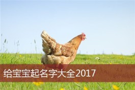 鸡年农历10月生的孩子(鸡年农历10月生的孩子好不好)