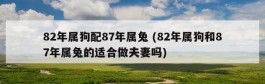 82年属狗配87年属兔 (82年属狗和87年属兔的适合做夫妻吗)