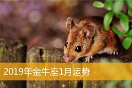 金牛座运势2019年1月8月运势(金牛座运势2019年1月8月运势及运程)