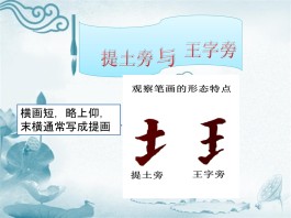 带提王旁的字有什么作用(带提王旁的字有什么作用和意义)