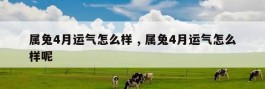 属兔4月运气怎么样 , 属兔4月运气怎么样呢