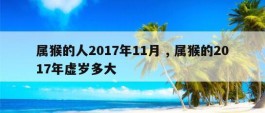 属猴的人2017年11月 , 属猴的2017年虚岁多大